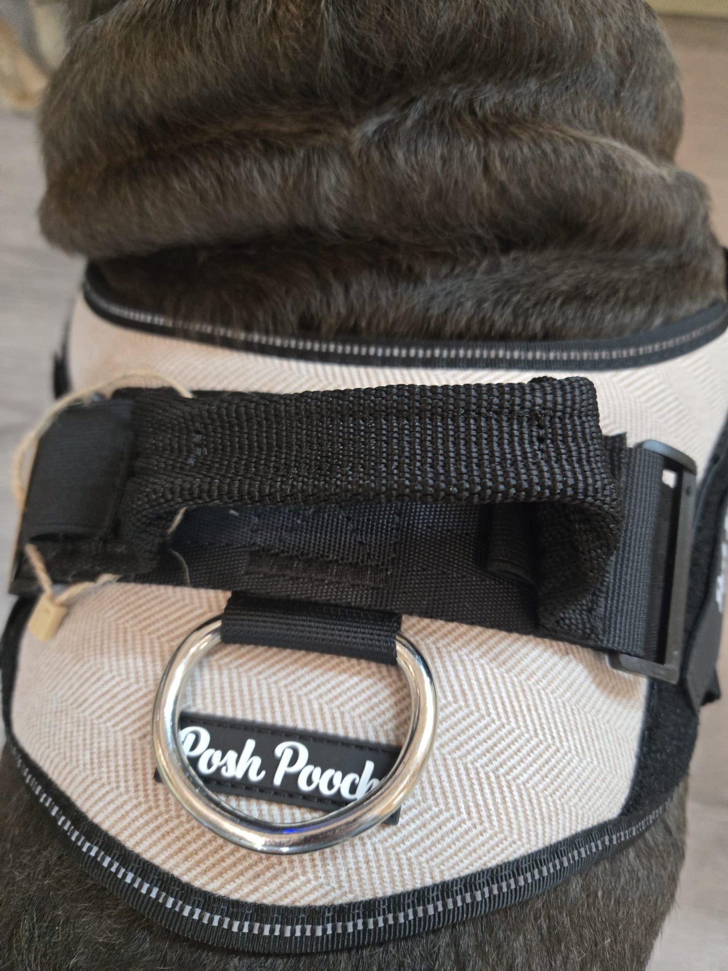 Posh Pooch Harness Pink