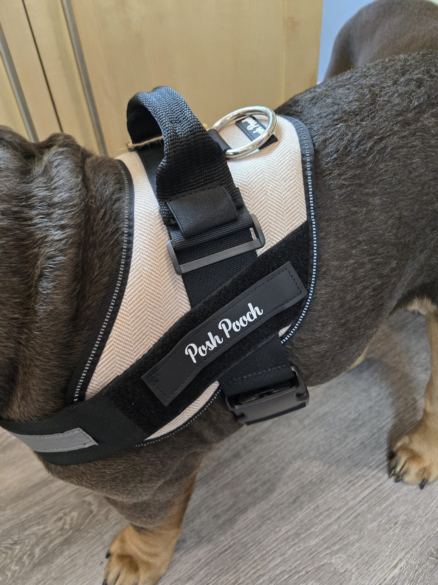 Posh Pooch Harness Pink