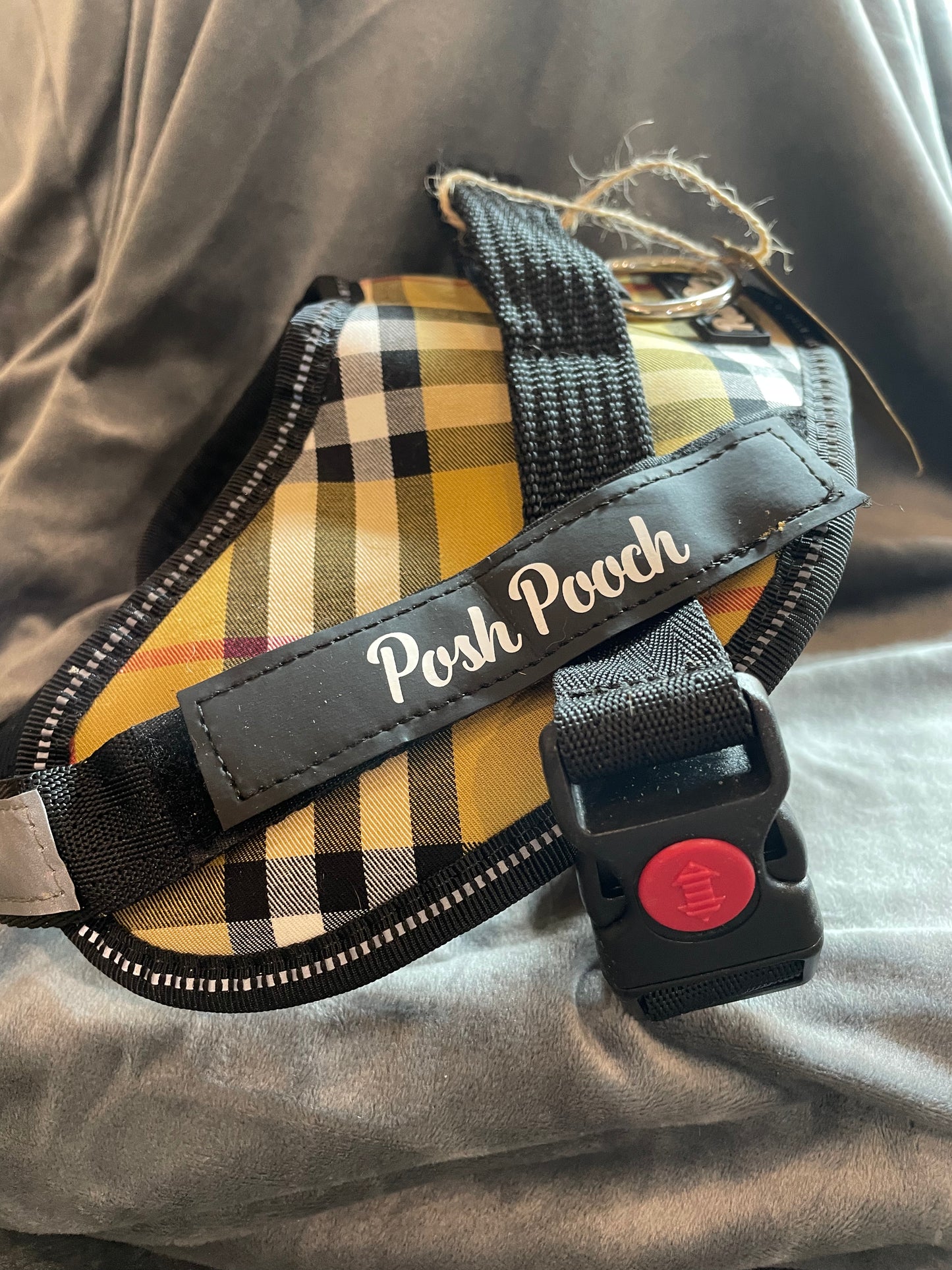 Posh Pooch Harness Check