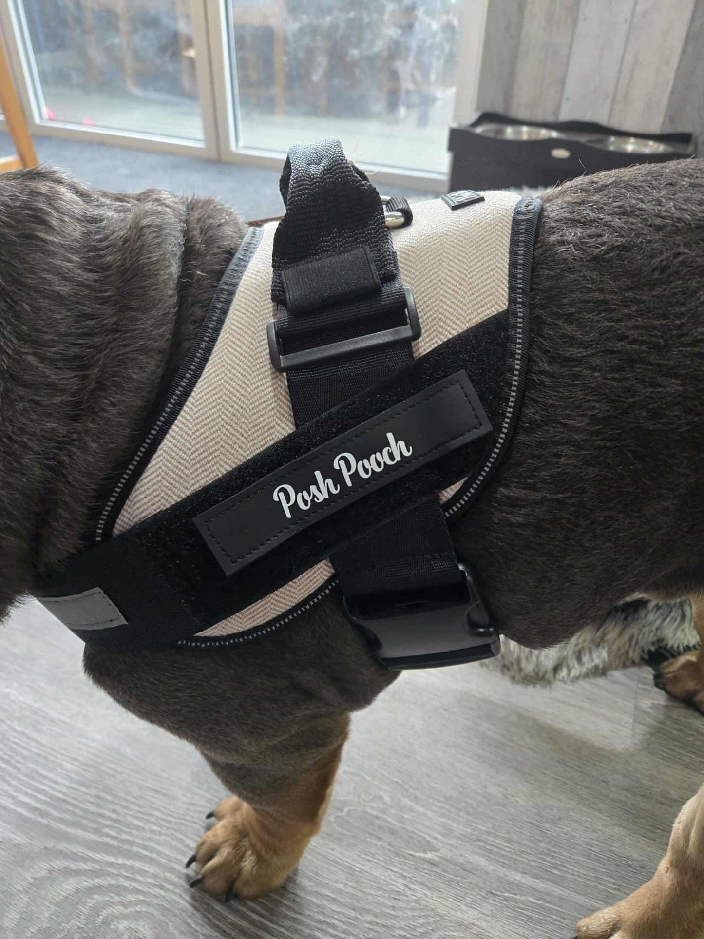 Posh Pooch Harness Pink