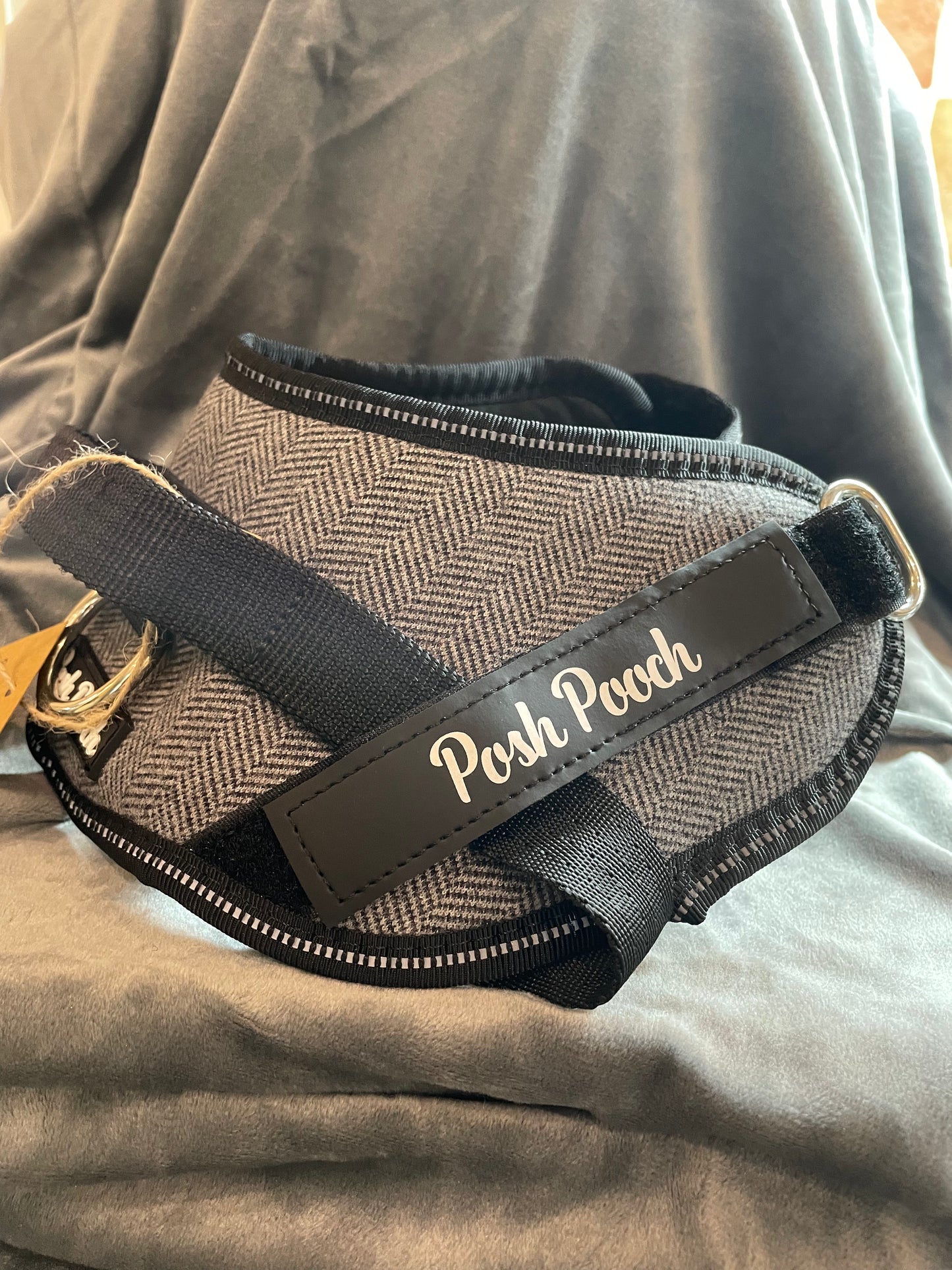 Posh Pooch Harness  Grey